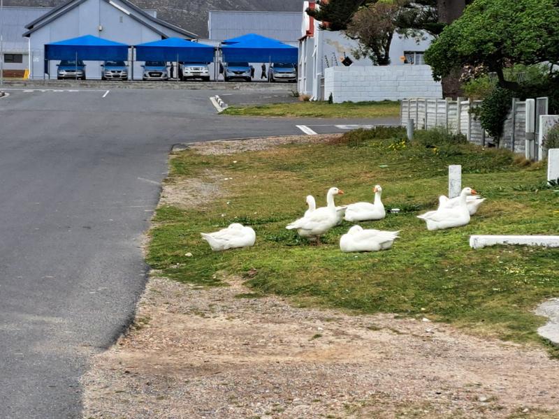 4 Bedroom Property for Sale in Pearly Beach Western Cape